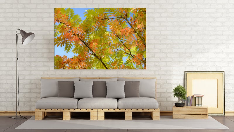 Pihlajan v&auml;rit Juha Karikoski