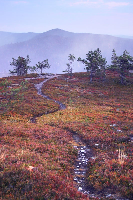 Vaellusreitti tunturissa